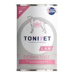 Dermatose Chien
